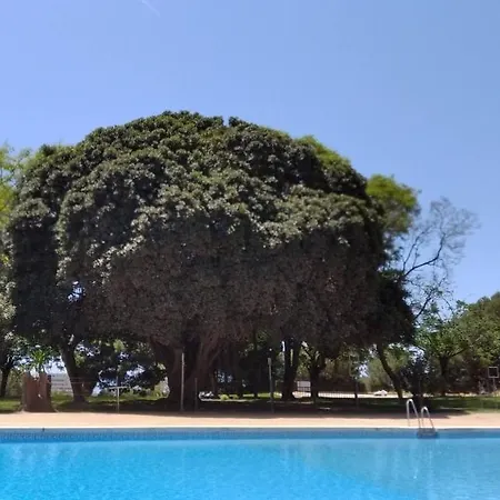Apartment Apartamento Blue Holidays 629 *
